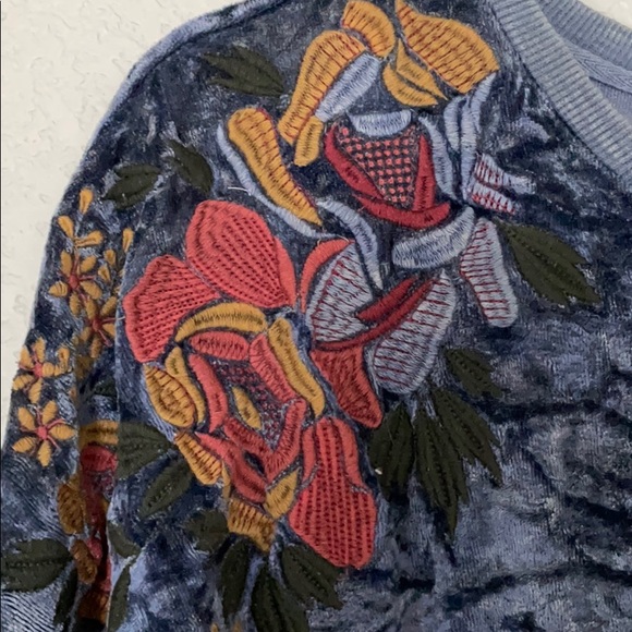 Velvet Embroidered Sweatshirt - Picture 4 of 6
